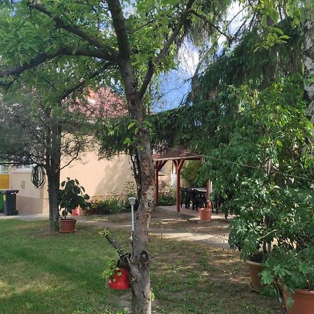 Appartamento Kovacs Vendeghaz Hajdúszoboszló Esterno foto